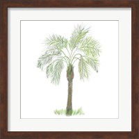 Palm Tree on White II Fine Art Print