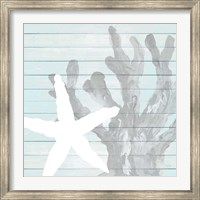 Starfish on Blue Wood Fine Art Print