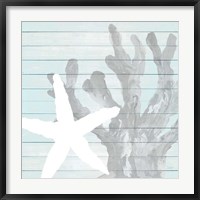 Starfish on Blue Wood Fine Art Print