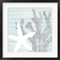 Starfish on Blue Wood Framed Print