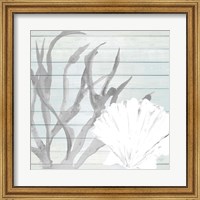 Seashell on Blue Wood Fine Art Print