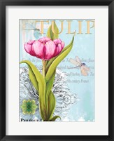 Elegant Tulip I Fine Art Print
