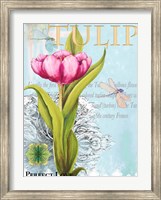 Elegant Tulip I Fine Art Print