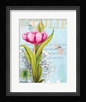 Elegant Tulip I Fine Art Print