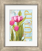 Elegant Tulip II Fine Art Print