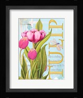 Elegant Tulip II Fine Art Print