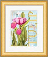 Elegant Tulip II Fine Art Print