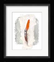 Simple Feather II Fine Art Print
