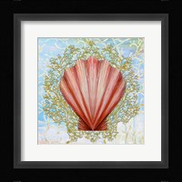 Shell Medley I Fine Art Print
