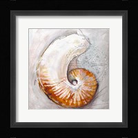 Pearl Shell Medley I Fine Art Print