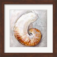 Pearl Shell Medley I Fine Art Print