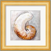 Pearl Shell Medley I Fine Art Print