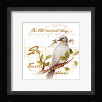 Two Turtle Doves Fine Art Print