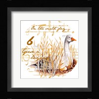 Six Geese a-Laying Fine Art Print