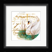 Seven Swans a-Swimming Fine Art Print