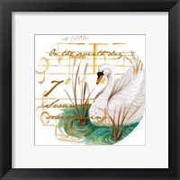 Seven Swans a-Swimming Framed Print