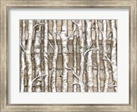 Light Birch Forest Fine Art Print