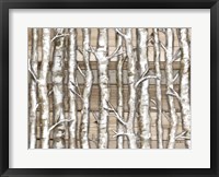 Light Birch Forest Fine Art Print
