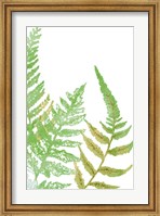 Tossed Ferns I Fine Art Print