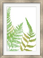 Tossed Ferns I Fine Art Print
