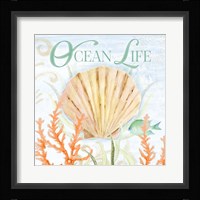 Ocean Life Framed Print