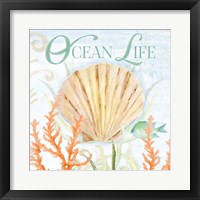 Ocean Life Framed Print