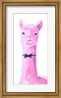 Vibrant Llama Fine Art Print