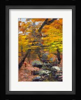 Autumn Woods Fine Art Print