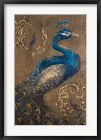 Pershing Peacock I Fine Art Print