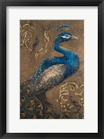 Pershing Peacock I Framed Print