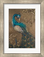 Pershing Peacock I Fine Art Print