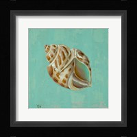 Ocean's Gift II Framed Print