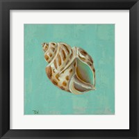 Ocean's Gift II Framed Print