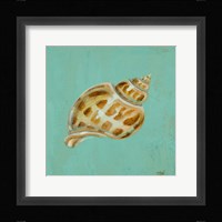 Ocean's Gift III Framed Print