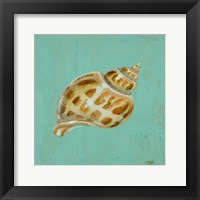 Ocean's Gift III Framed Print