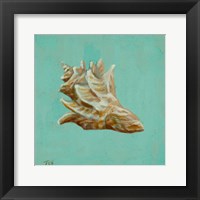 Ocean's Gift IV Framed Print