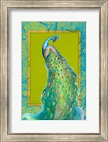Peacock Daze I Fine Art Print