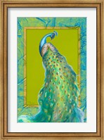 Peacock Daze I Fine Art Print