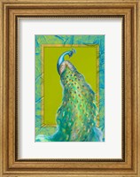 Peacock Daze II Fine Art Print