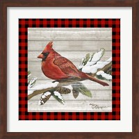 Winter Red Bird IV Fine Art Print