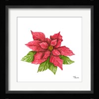Poinsettia I Framed Print