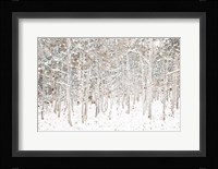 White Snow Wonderland Fine Art Print