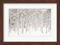 White Snow Wonderland Fine Art Print