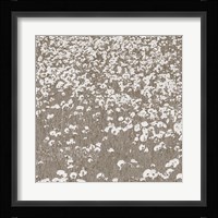 Neutral Fields Fine Art Print