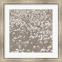 Neutral Fields Fine Art Print