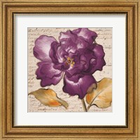 Lilac Beauty I Fine Art Print