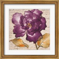 Lilac Beauty I Fine Art Print