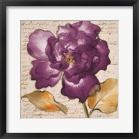 Lilac Beauty I Framed Print