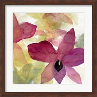 Beautiful and Peace Orchid II Fine Art Print