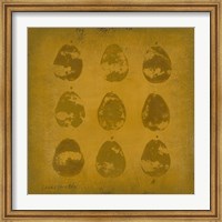 All Lined Up- Pears Fine Art Print